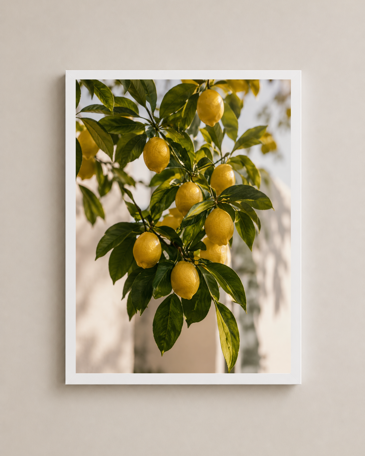 Lemon Grove