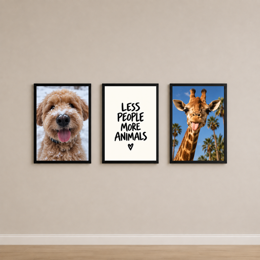 Silly Animals Set