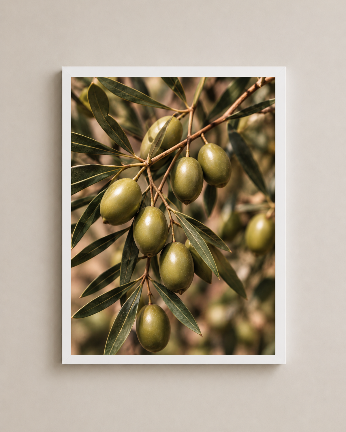 Olive Branch Frame