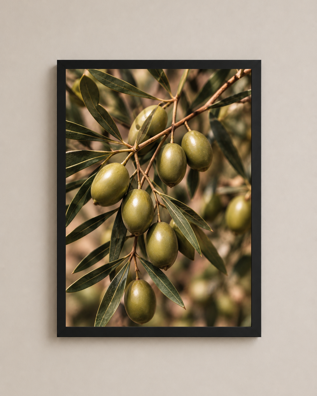 Olive Branch Frame