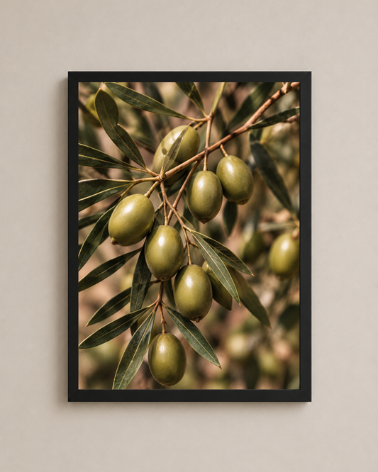 Olive Branch Frame