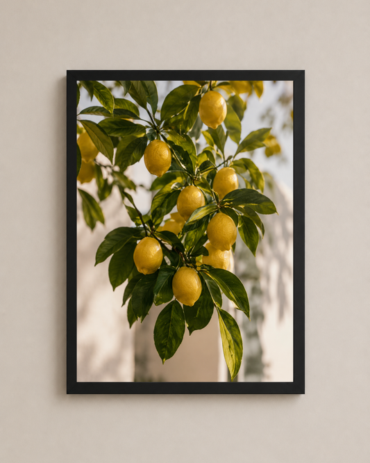 Lemon Grove