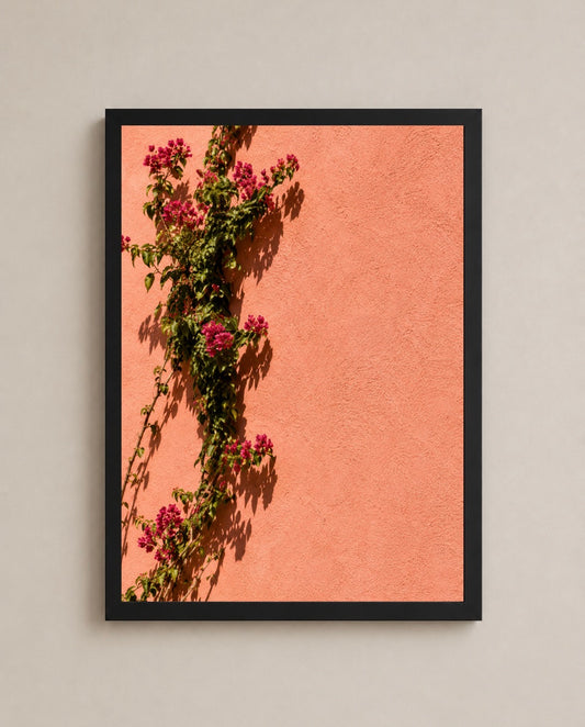 Bougainvillea Frame