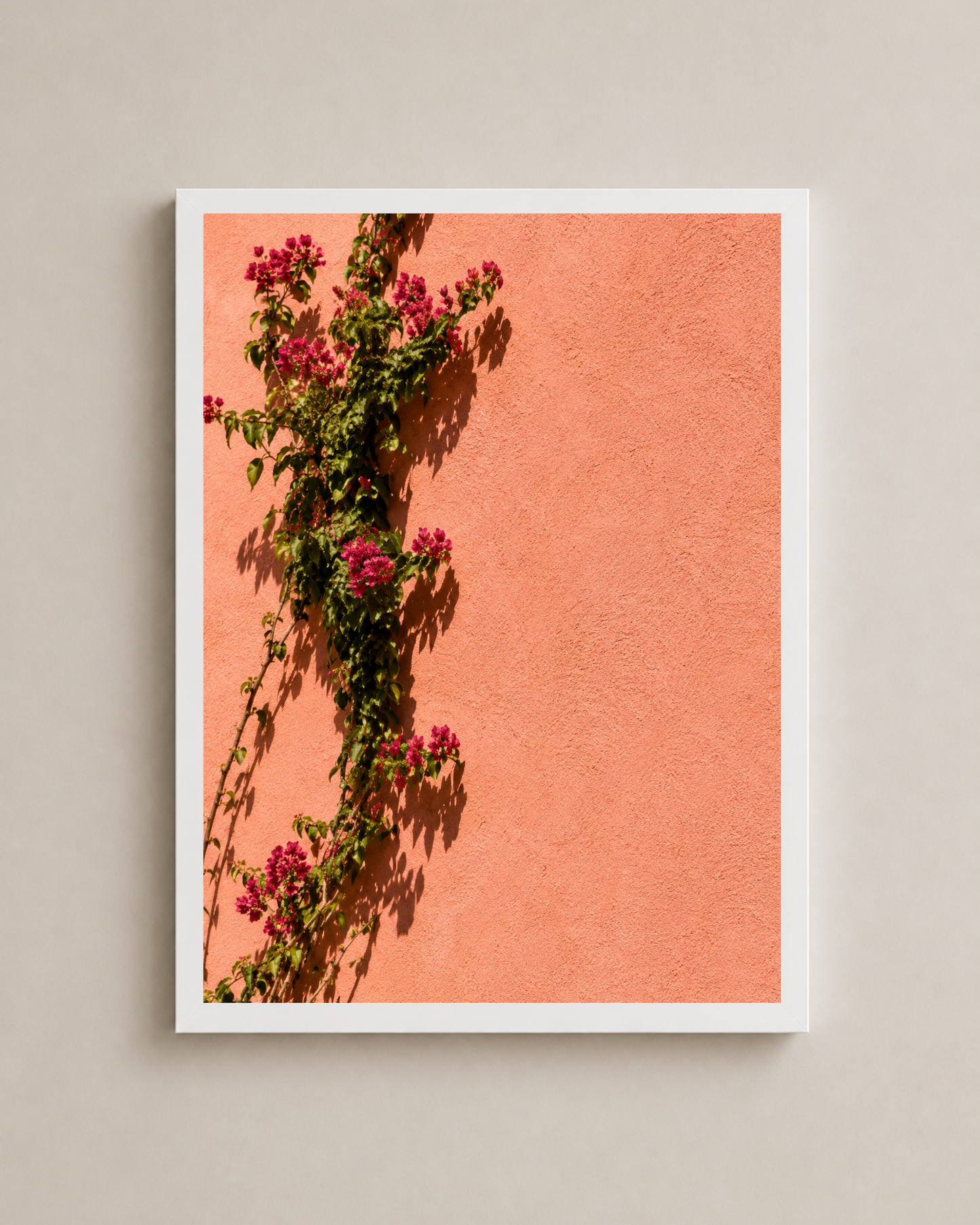 Bougainvillea Frame