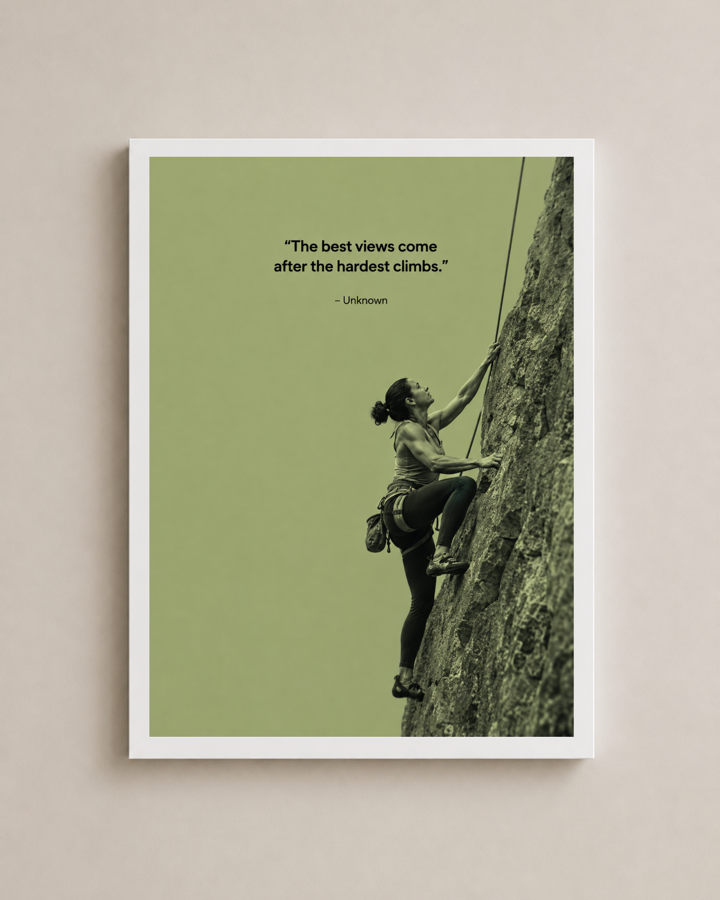 Climber Frame